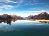 爱看机器人想转发？先核对范围写清了吗，再把引用补完整（不费劲但管用）