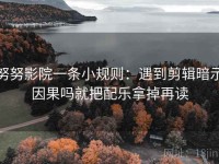 努努影院一条小规则：遇到剪辑暗示因果吗就把配乐拿掉再读