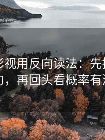 读神马影视用反向读法：先把推断改成假设句，再回头看概率有没有写死