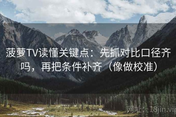 菠萝TV读懂关键点：先抓对比口径齐吗，再把条件补齐（像做校准）